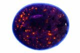Polished Yooperlite Pebble - Highly Fluorescent! #176856-1
